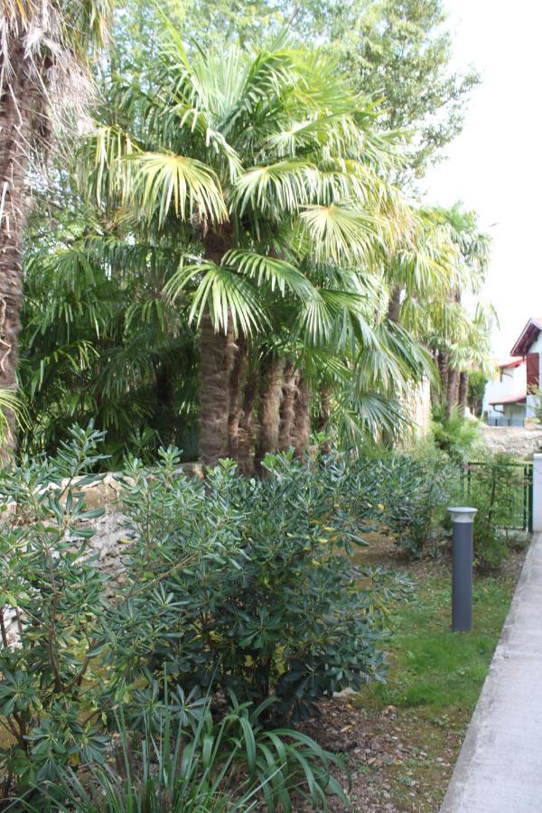 Chalet Ilona Cambo-les-Bains Esterno foto